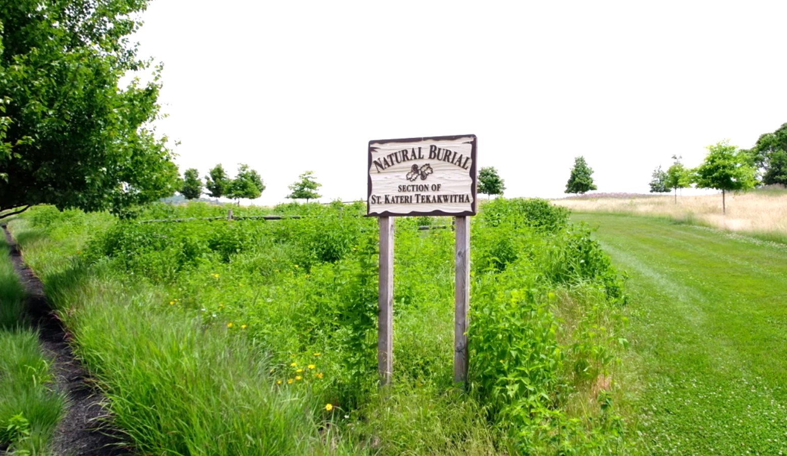 Natural Burial
